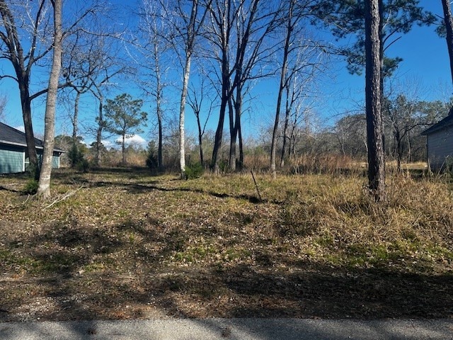 Listing photo 2 for 98 S Pine Harbour Dr, Coldspring TX 77331