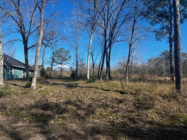 Listing photo 3 for 98 S Pine Harbour Dr, Coldspring TX 77331