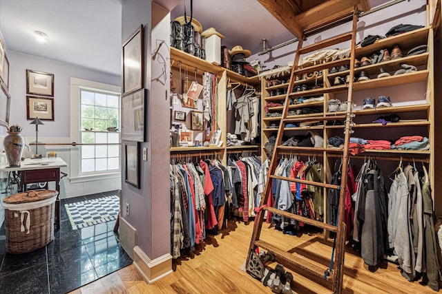 spacious closet featuring wood-type flooring