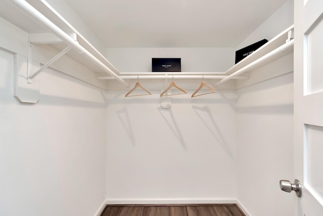 spacious closet featuring dark wood-type flooring