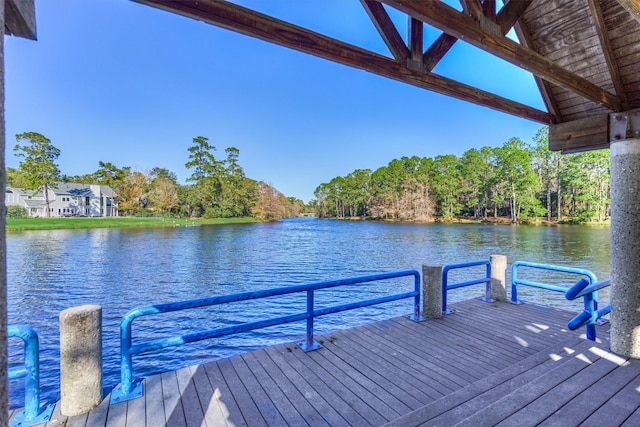 dock area with a water view