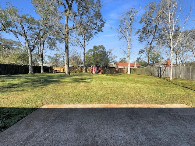 view of yard featuring a storage shed