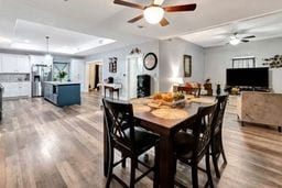 dining area with ceiling fan, wood-type flooring, and a tray ceiling