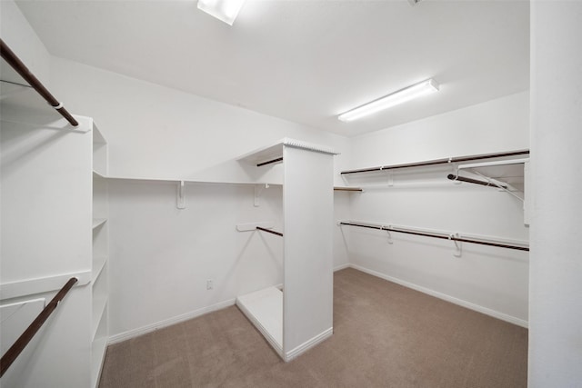 spacious closet with light colored carpet