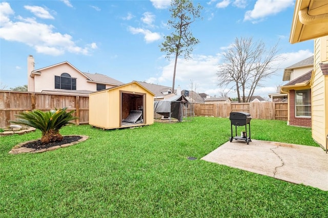 view of yard featuring a patio and a storage shed