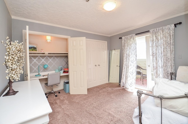 carpeted office space with crown molding and a textured ceiling