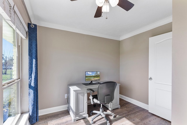 office with hardwood / wood-style floors, ceiling fan, ornamental molding, and a wealth of natural light