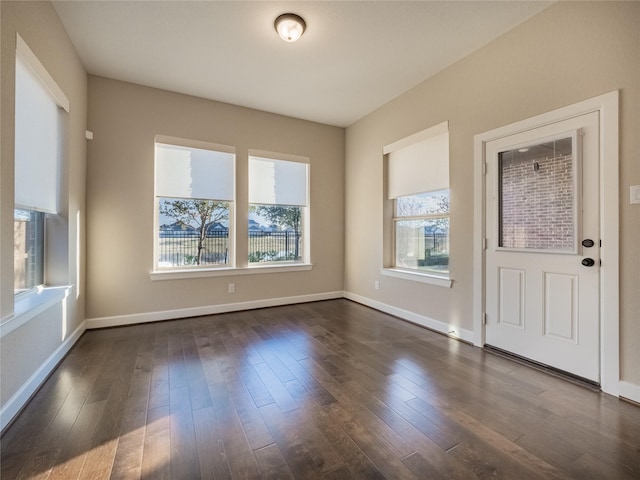 foyer entrance featuring dark hardwood / wood-style flooring