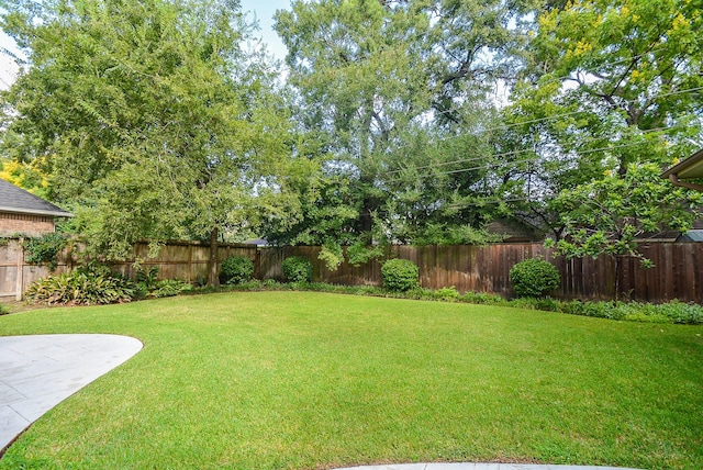 view of yard with a patio