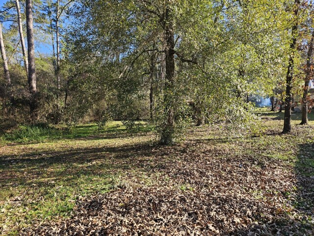 16823 Dogwood Ct, Plantersville, TX 77363 - photo 23