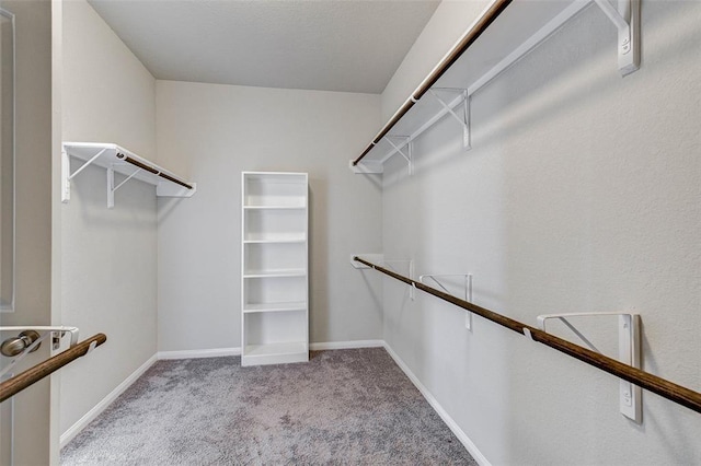 walk in closet with light colored carpet