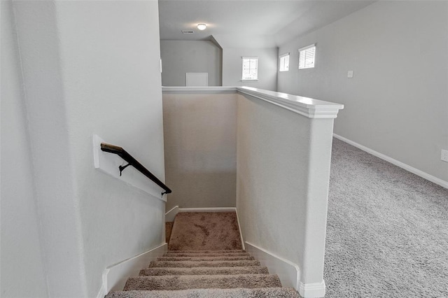 stairway featuring carpet flooring