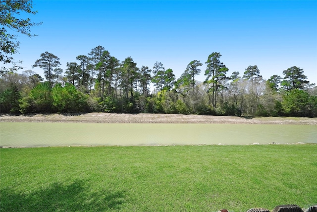 view of yard featuring a water view