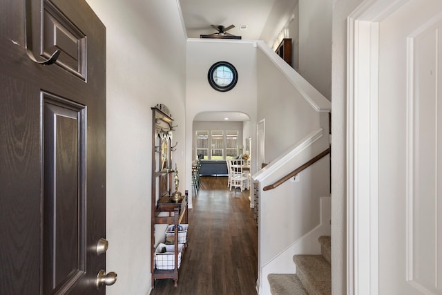 entrance foyer featuring ceiling fan, dark wood-type flooring, and a high ceiling