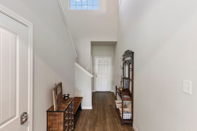 interior space featuring a towering ceiling and dark wood-type flooring