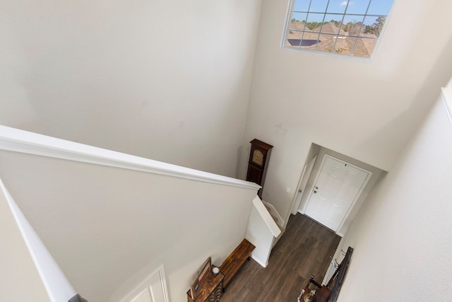 stairway featuring hardwood / wood-style floors