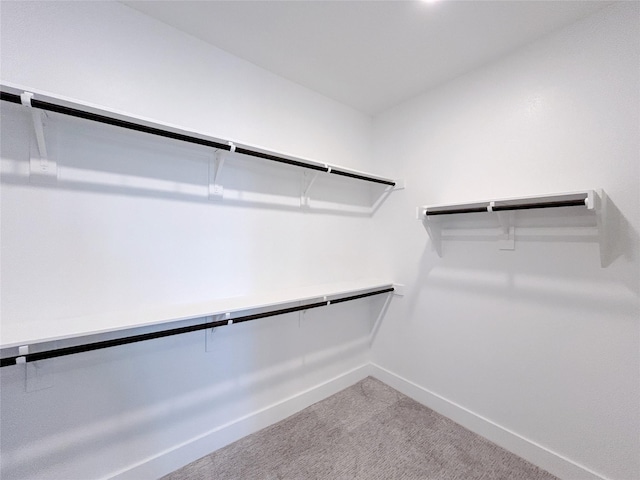 walk in closet with carpet floors