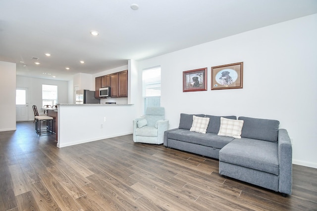 living room with dark hardwood / wood-style flooring