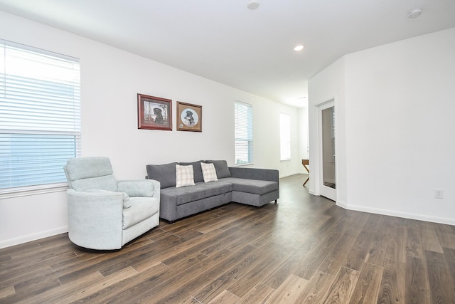 living room with dark hardwood / wood-style flooring and plenty of natural light