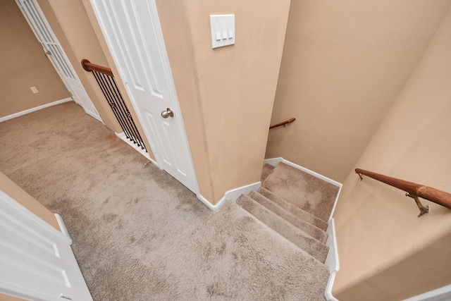 stairs featuring carpet flooring