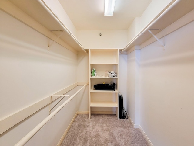 walk in closet with carpet flooring