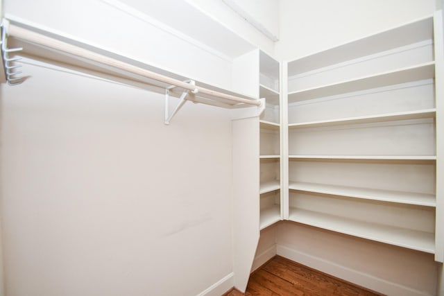 walk in closet with hardwood / wood-style flooring