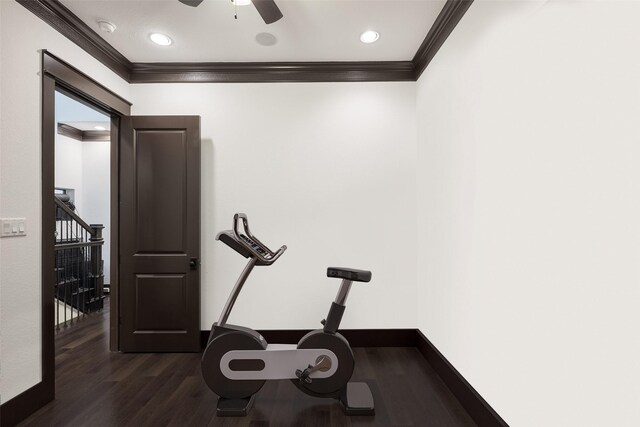 exercise room featuring crown molding, ceiling fan, and dark hardwood / wood-style flooring