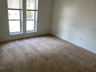 carpeted empty room featuring plenty of natural light