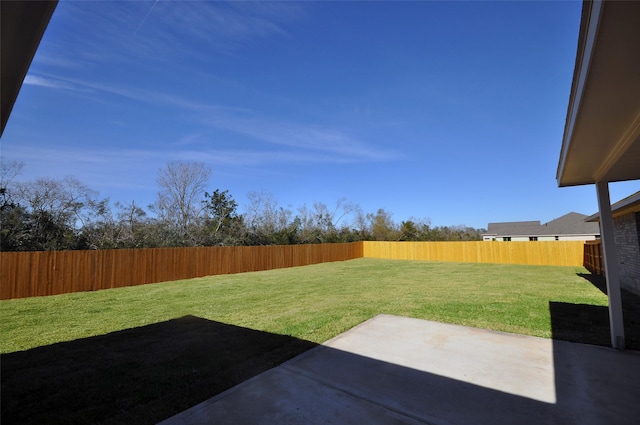 view of yard featuring a patio area