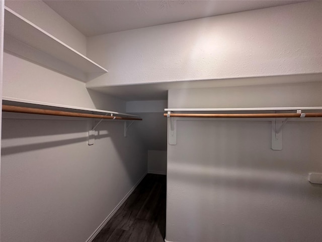 spacious closet featuring dark hardwood / wood-style flooring