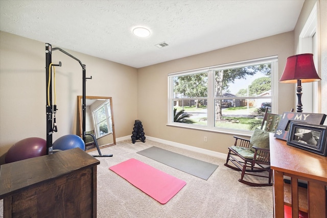 workout area featuring light colored carpet and a textured ceiling