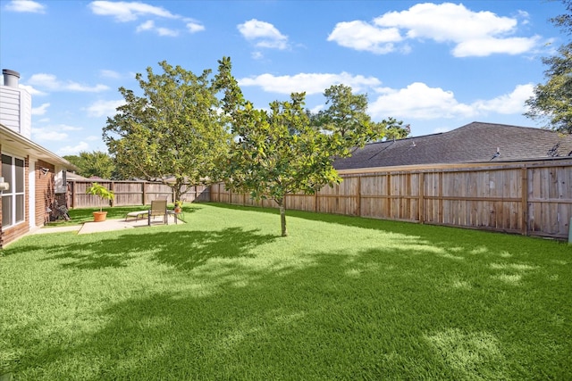 view of yard with a patio