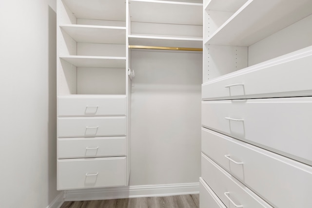 spacious closet with wood-type flooring