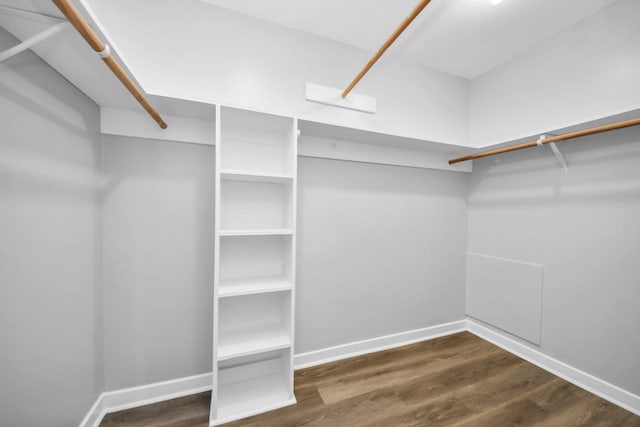 spacious closet with dark hardwood / wood-style flooring