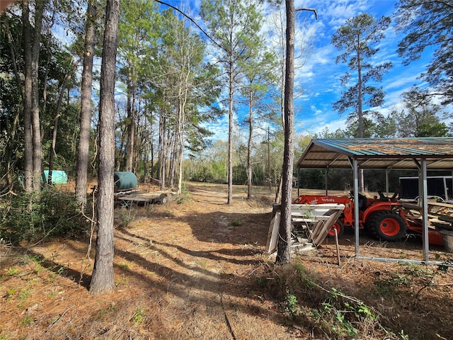 view of yard featuring a carport