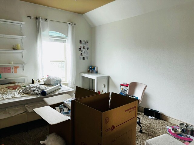 home office featuring vaulted ceiling