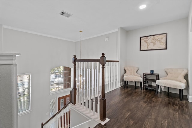 sitting room featuring dark hardwood / wood-style floors and ornamental molding