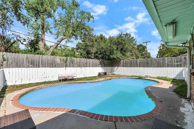 view of swimming pool