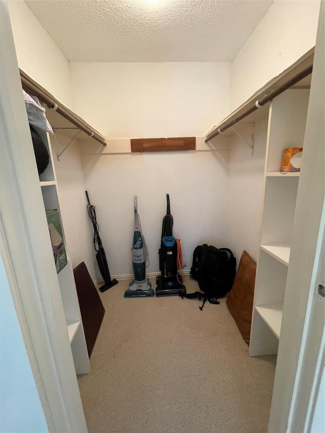 spacious closet with light carpet