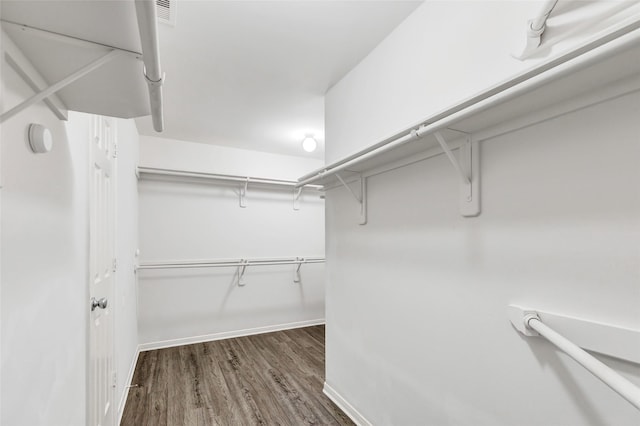 spacious closet featuring dark hardwood / wood-style flooring