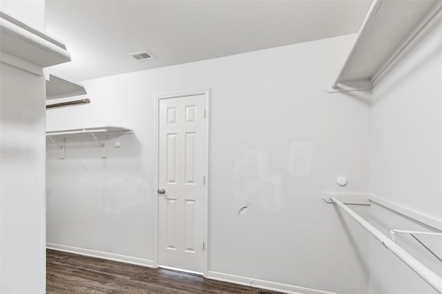 spacious closet featuring dark wood-type flooring