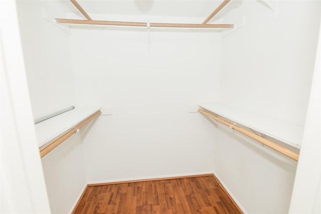 walk in closet featuring wood-type flooring