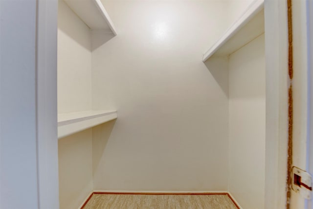 walk in closet featuring light hardwood / wood-style floors