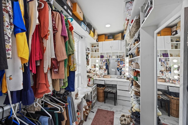 view of spacious closet