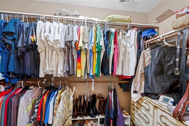 view of spacious closet