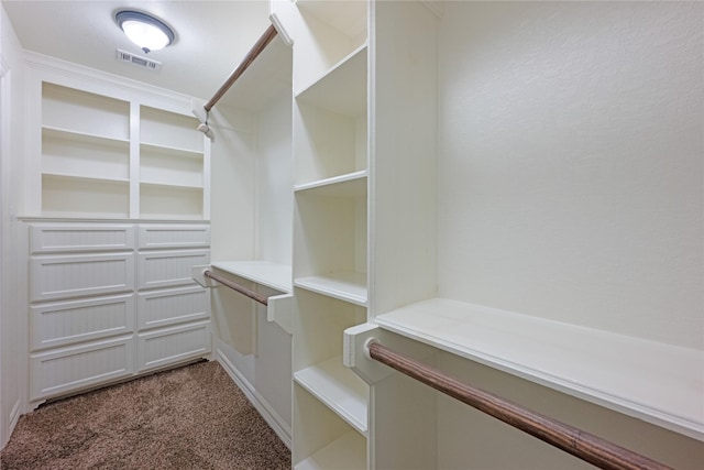 spacious closet with carpet flooring