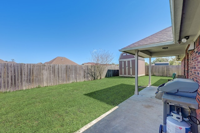 view of yard featuring a patio and a storage unit