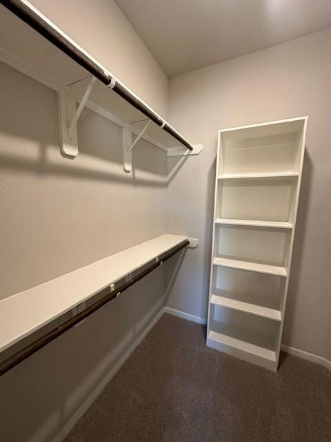 spacious closet with dark colored carpet