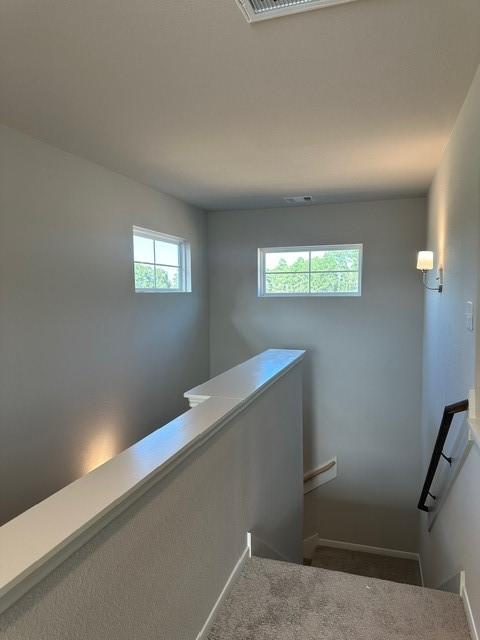 stairway with carpet floors