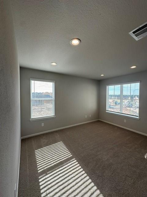 carpeted empty room with a healthy amount of sunlight and a textured ceiling